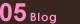 05 Blog
